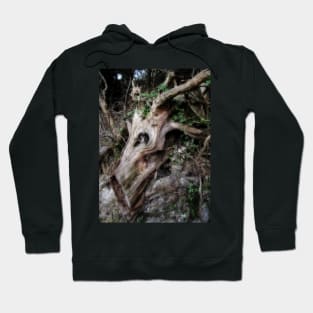 Tree Bark Mirage. Horse head. Hoodie